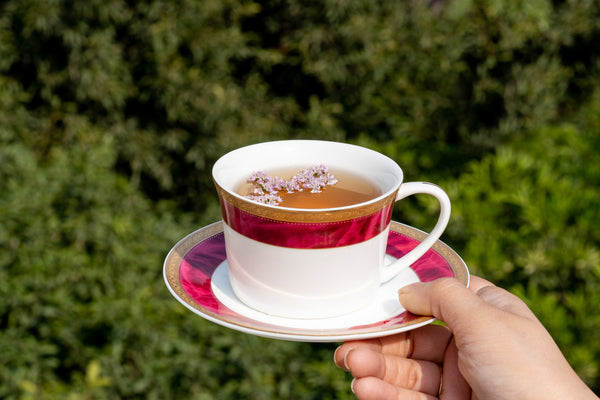 Your Power Cup of Wellness and Vitality